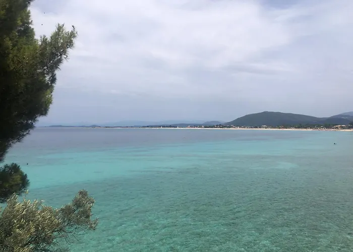 Eucalyptus -- Agios Ioannis Beachfront