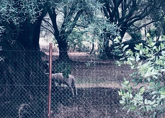 Eucalyptus -- Agios Ioannis Beachfront Apartment *