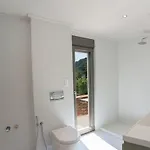 Eucalyptus 2019 Beachfront *