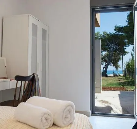 Eucalyptus 2019 Beachfront 圣爱奥尼斯米科